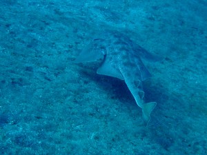 line_oa_chat_251123_193349