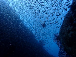 line_oa_chat_251124_184433