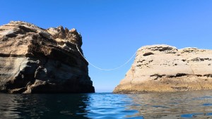 line_oa_chat_251124_184440