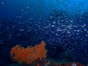 line_oa_chat_251206_175135_group_4