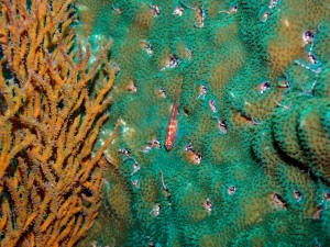 line_oa_chat_251206_175135_group_9