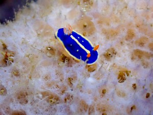 line_oa_chat_251206_175139_group_1