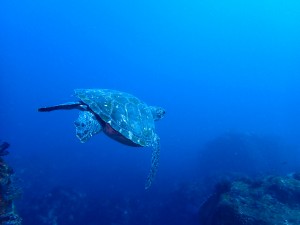 line_oa_chat_251206_175139_group_2