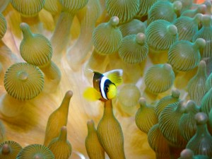 line_oa_chat_251206_175139_group_3