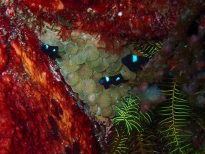 line_oa_chat_251206_175243_group_0