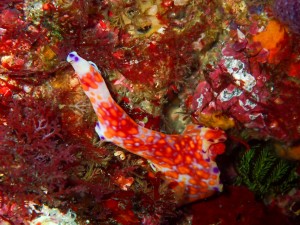 line_oa_chat_251206_175243_group_2