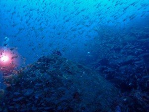 line_oa_chat_251206_175243_group_3