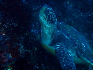 line_oa_chat_251206_175243_group_4