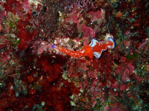 line_oa_chat_251206_191857