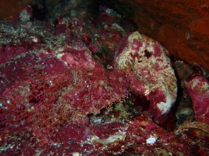 line_oa_chat_251206_191900