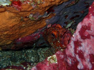 line_oa_chat_251206_191903