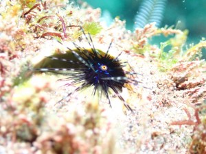 line_oa_chat_251209_172948