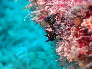 line_oa_chat_251209_173008