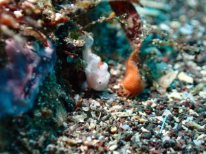 line_oa_chat_251209_173011