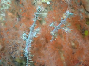 line_oa_chat_251209_173015