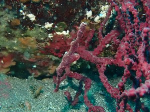 line_oa_chat_251209_173017