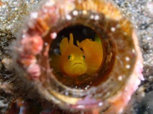 line_oa_chat_251209_173025