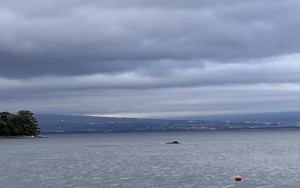 line_oa_chat_251214_180939