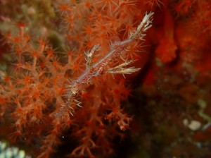 line_oa_chat_251216_181332