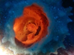 line_oa_chat_251216_181339