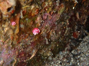 line_oa_chat_251216_181344