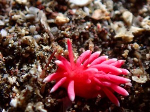 line_oa_chat_251228_173957