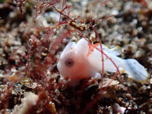 line_oa_chat_251228_174006