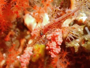 line_oa_chat_251228_174014