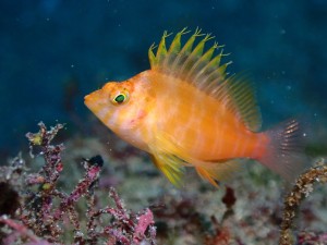 line_oa_chat_251228_180521