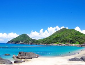 595a3994-4c5e-4c5a-9fe7-2b9209272886