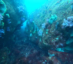 DCIM100GOPROGOPR5529.JPG