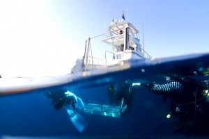 LINE_ALBUM_2026.1.19_260119_1