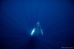 line_oa_chat_260109_214110