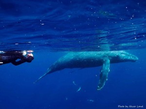 line_oa_chat_260109_214115