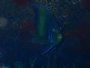 line_oa_chat_260117_194151