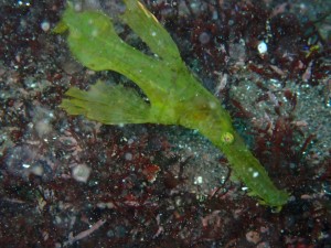 line_oa_chat_260117_194224