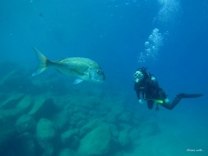 line_oa_chat_260120_185047