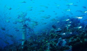 line_oa_chat_260122_161020