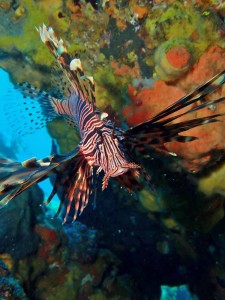 line_oa_chat_260125_180707