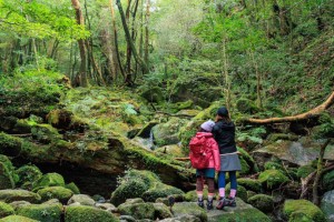 spot-shiratani-unsuikyo-02