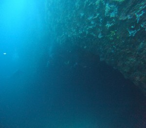DCIM101GOPROGOPR4365.JPG