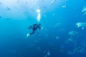 LINE_ALBUM_20251229_260208_15