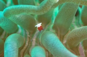 LINE_ALBUM_2026.2.9 _1_260209_1