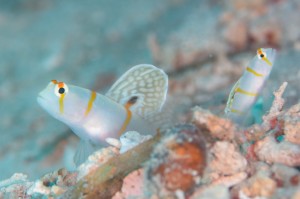 LINE_ALBUM_2026.2.9 _1_260209_3