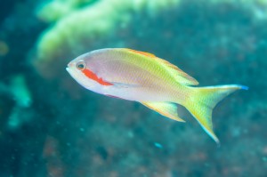 LINE_ALBUM_2026.2.9 _1_260209_4