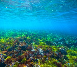 LINE_ALBUM_20260219_260219_11