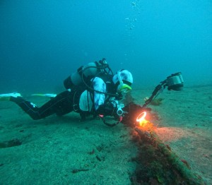 LINE_ALBUM_20260219_260219_6