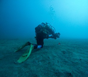 LINE_ALBUM_20260219_260219_7