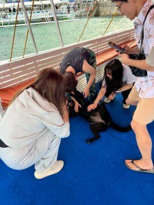 line_oa_chat_260208_171832