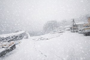 line_oa_chat_260208_191222